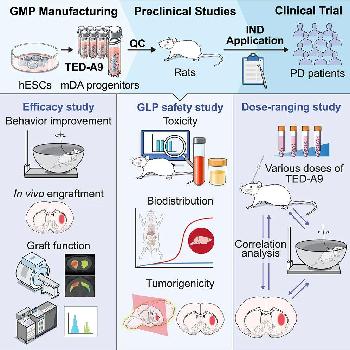 ̥ϸдģɸߴȵԶͰϸ